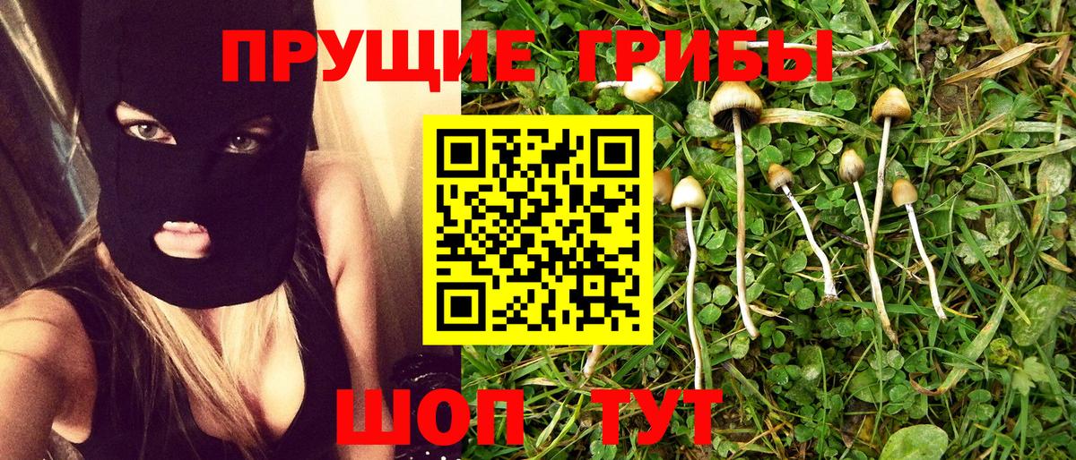 Псилоцибиновые грибы Psilocybine cubensis  Вход с VPN  Усолье-Сибирское 